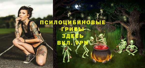 МДПВ Алексеевка